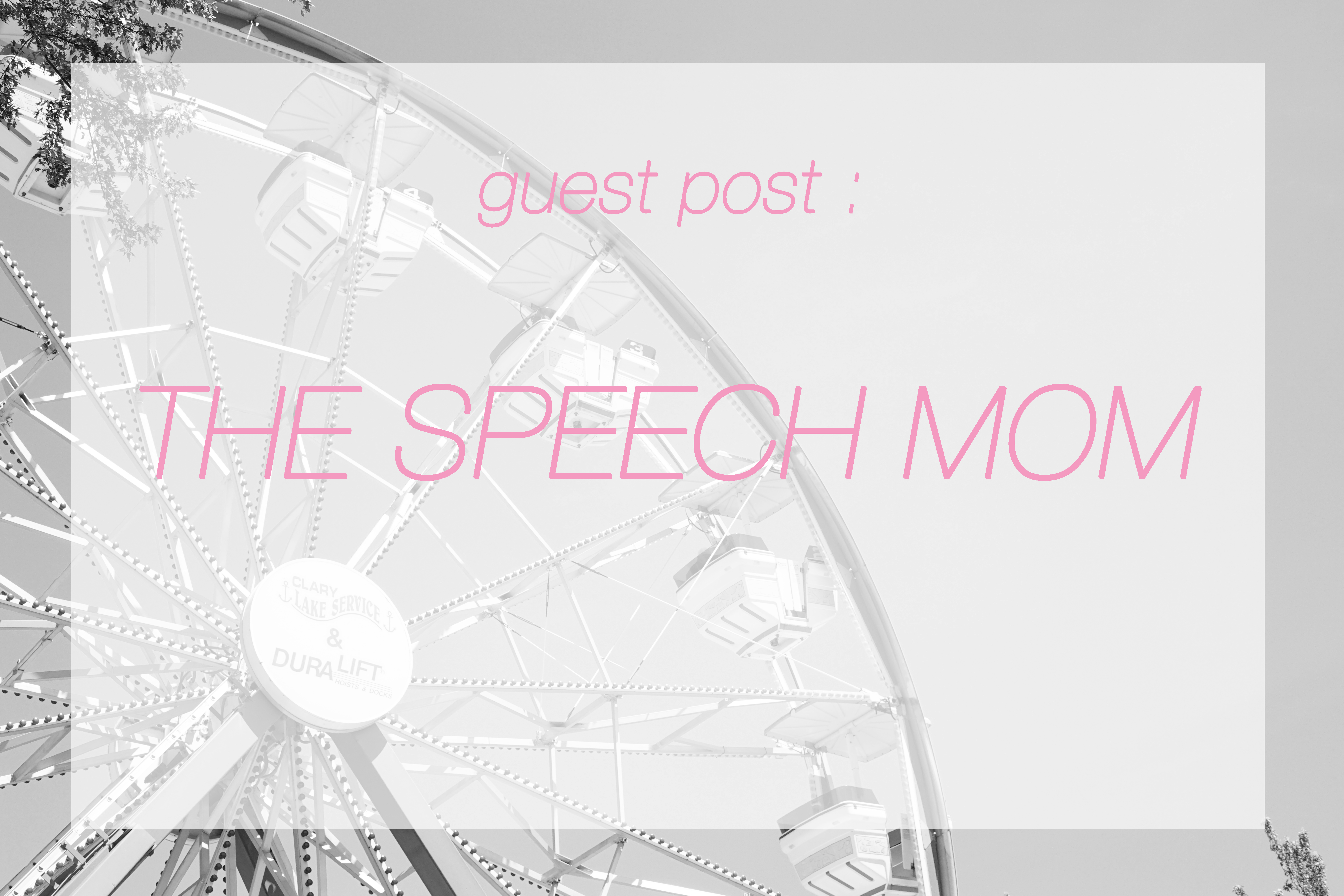 guest blog post - the speech mom- Midwest In Style