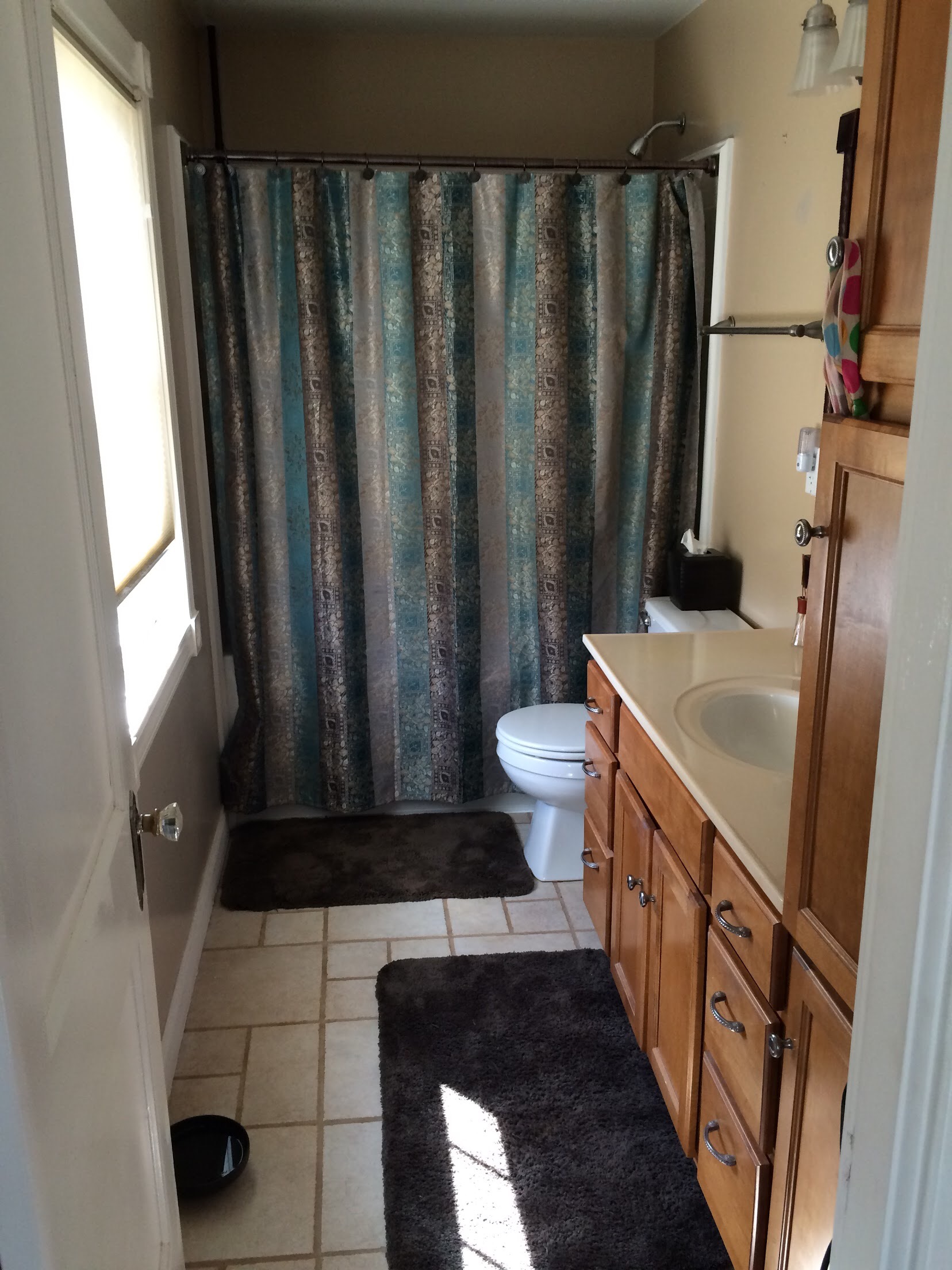 Bathroom Reno - Midwest In Style